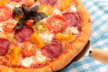 pepperoni italian pizza with salami and cheese on rustic wooden white background