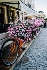 Kwiaty na zewnątrz restauracji w Sandomierzu © M.Rogowski