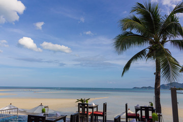 Samui Beach : 南国・美しい・ビーチ・白砂・快晴・サムイ島
