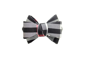 Color bow tie isolated