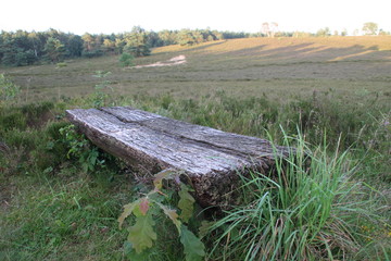 Bank in der Heide
