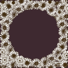 Floral frame of detailed hand drawn daisies flowers. Vector illustration.