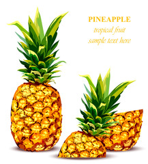 Pineapple fruit Tropical style card. Vector illustration