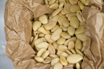 Saporelli