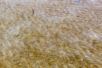 Chaweng Beach in Samui Island : サムイ島・浅瀬