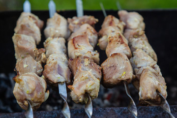 BBQ meat on grill in green summer garden