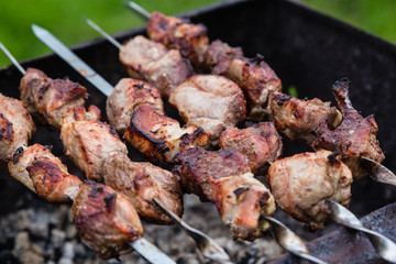 BBQ meat on grill in green summer garden