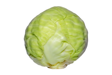 Fresh green cabbage