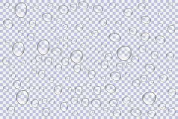 Clear vapor bubbles on window glass surface. Realistic pure water rain drops. Steam shower. Isolated on transparent background.