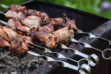 BBQ meat on grill in green summer garden