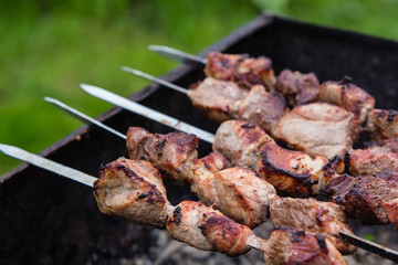 BBQ meat on grill in green summer garden