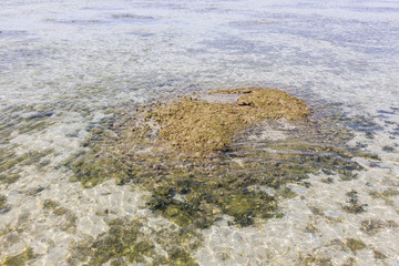 Chaweng Beach in Samui Island : サムイ島・浅瀬