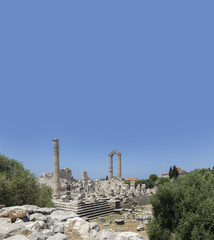 Temple of Apollo, Didyma, Anatolia, Turkey, Asia Minor, Asia