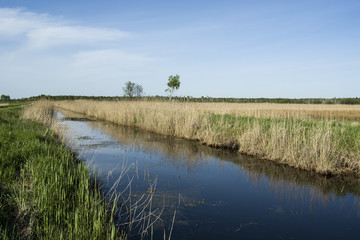 Wide river among the fields