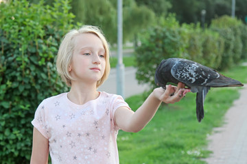 Young girl feeds a pigeon with hands on the street in the city