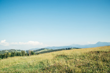 Fototapeta na wymiar beautiful view on carpathian mountans