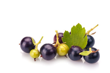 Blackcurrants