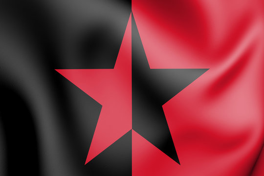 3D Flag of the EZLN