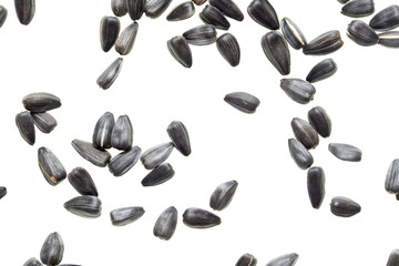 Fried black seeds isolated on white background