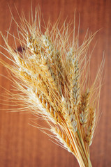Fototapeta premium Ripe yellow wheat stalks on the table