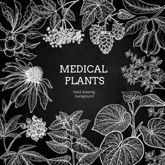 Medical herbs and plants. Black and white card. - obrazy, fototapety, plakaty