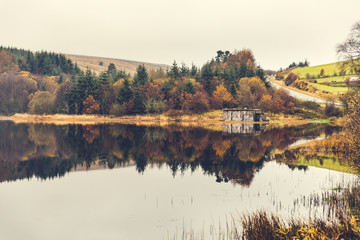 Autumn panorama: trees with reflections on the lake