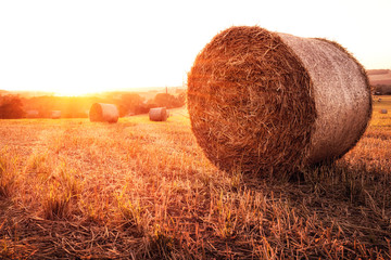 Strohballen auf einem Feld bei Sonnenuntergang.