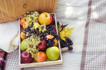 picnic box yellow orange red green fruits grape apples cozy plaid pillows background