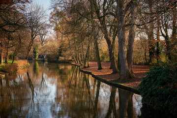 Canale nel parco