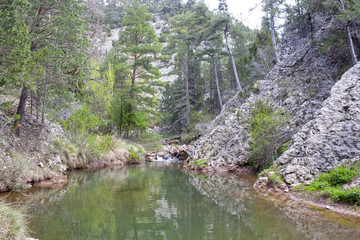 lake surrounded of trees like a paradise in the mountains