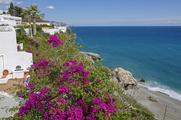 beautiful pink flowers and turquoise sea in Nerja- famous resort on Costa del Sol, Malaga, Spain