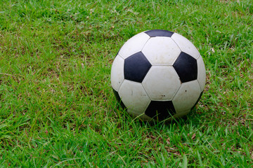 Fototapeta premium Old football on the grass field.