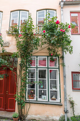 Alte Häuser in Lübeck mit schönen Rosen verziert