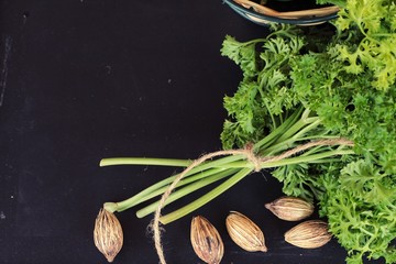 Fresh parsley on black background