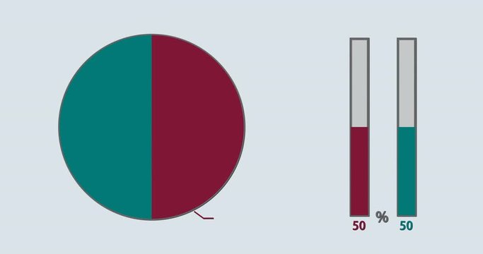 Pie and bar chart rising to 50 - 50 percent split, 2d animation with alpha matte, 4k 30fps