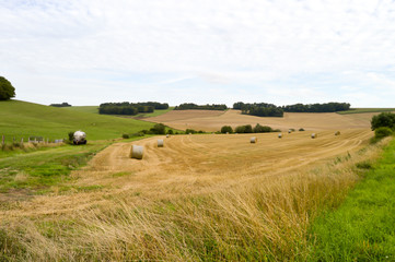 Obraz premium View of a field of bales of straw