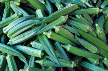 Bright green finger okra piled for market closeup view