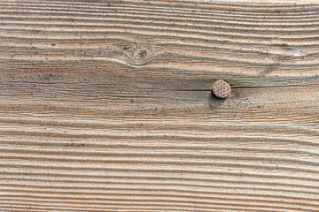 An old tree with an old nail, texture and texture of an old tree