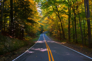 Fototapeta premium Long Road