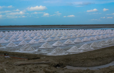 salt plant in thailand