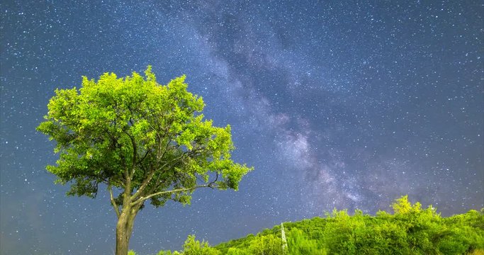 4k Plum tree Milky way night sky falling stars