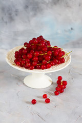 Red currants in the jar. Gray background.