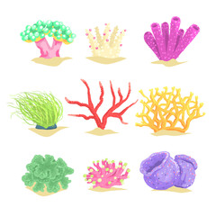 Underwater plants set, seaweeds and aquatic marine algae vector Illustrations