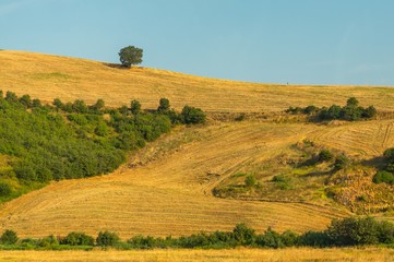 Fototapeta premium Summer landscape with hillside and blue sky in Italy