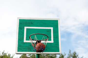 Vintage Old Basketball Hoop Outside in the garden