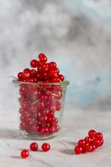 Red currants in the jar. Gray background.