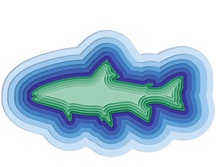 illustration of layered fish in the sea