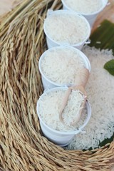 Jasmine rice in the market