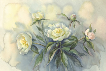 bouquet of white peonies watercolor