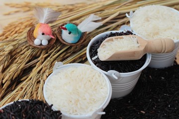 jasmine rice and organic riceberry rice
